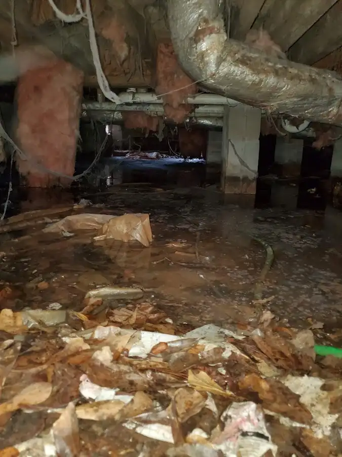 Crawl space flood assessment for Leak Detection & Repair in Maryville